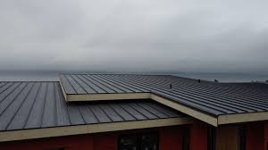 Best Roof Coating Services  in Sparta, GA